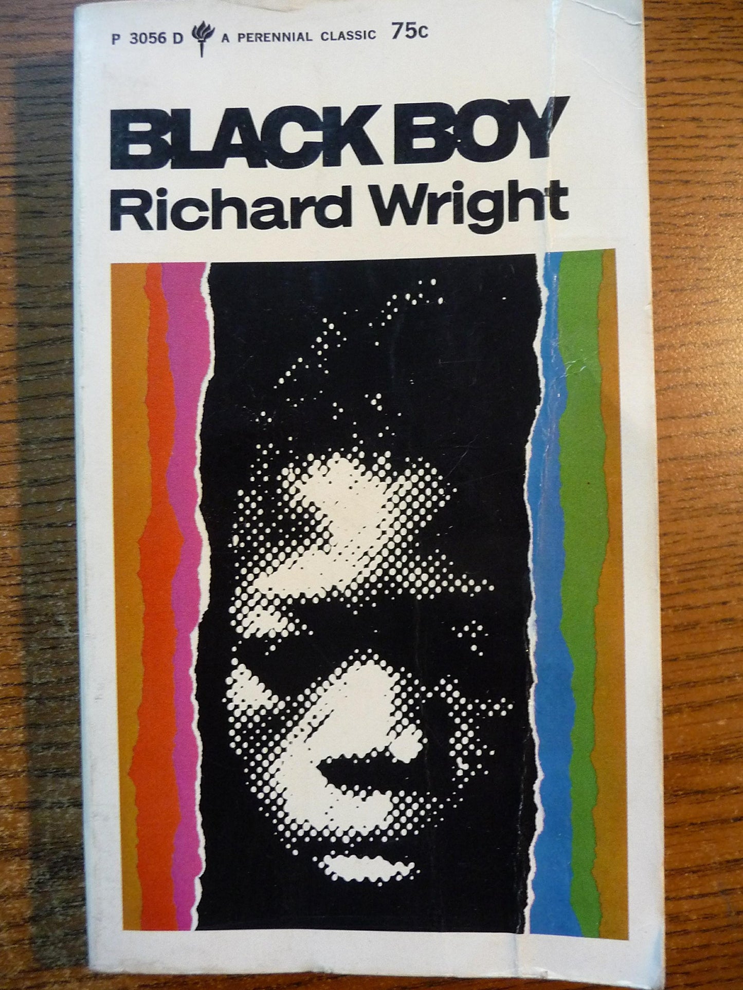 Black Boy: A Record of Childhood and Youth