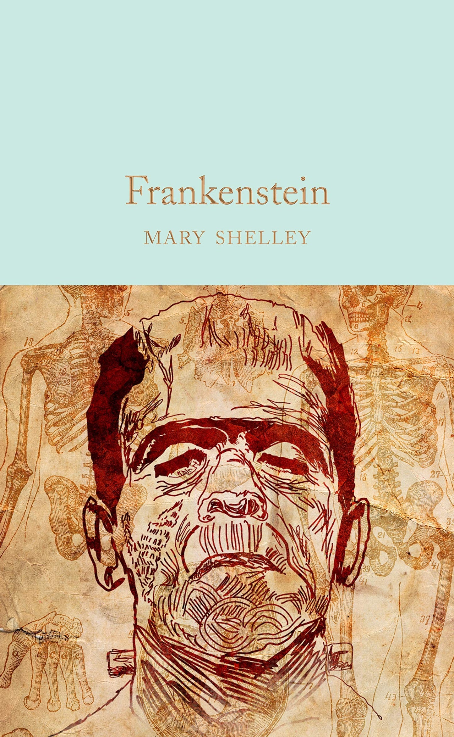 Frankenstein (Monsters and Misfits)